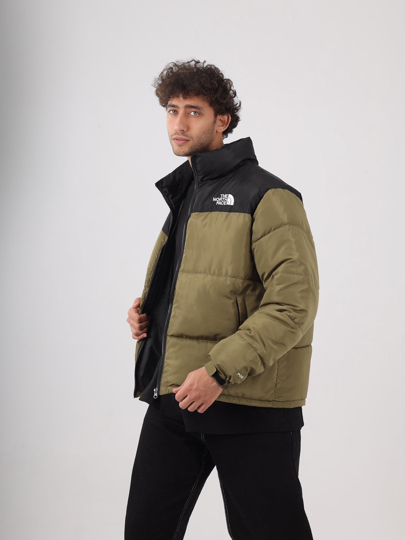 The north face jacket