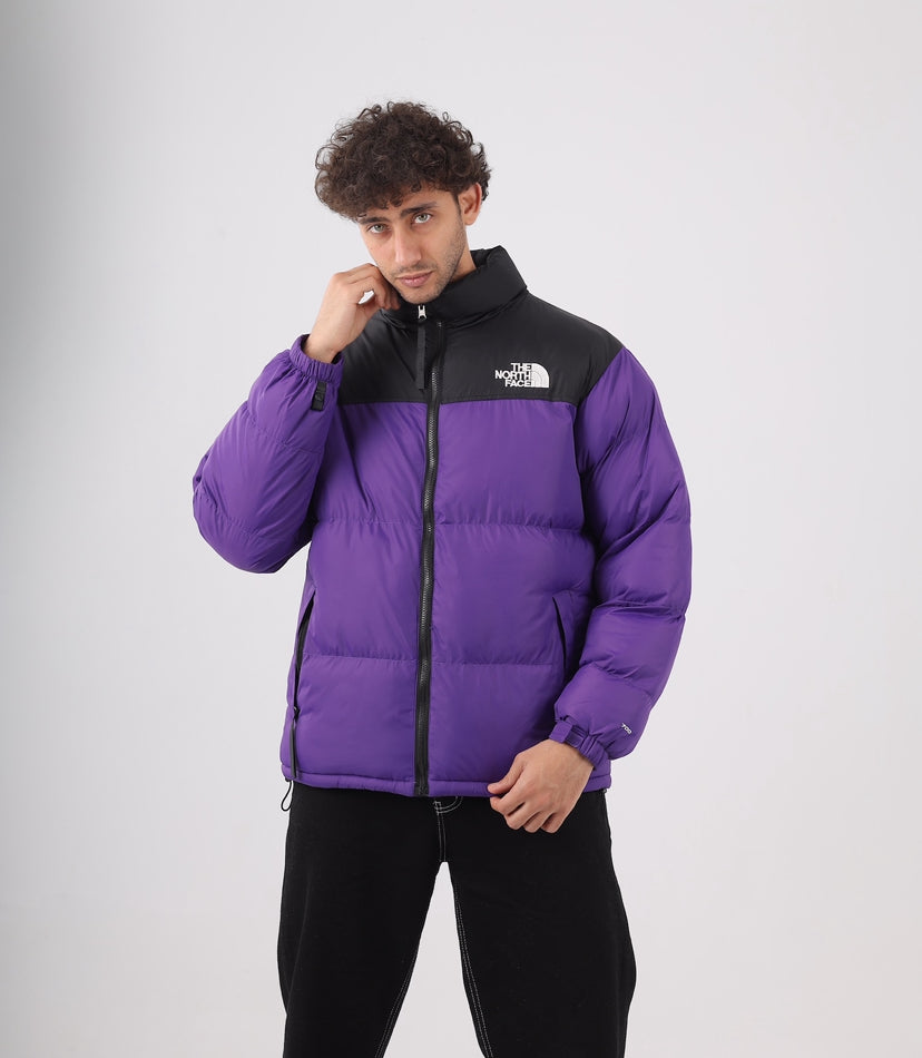 The north face jacket