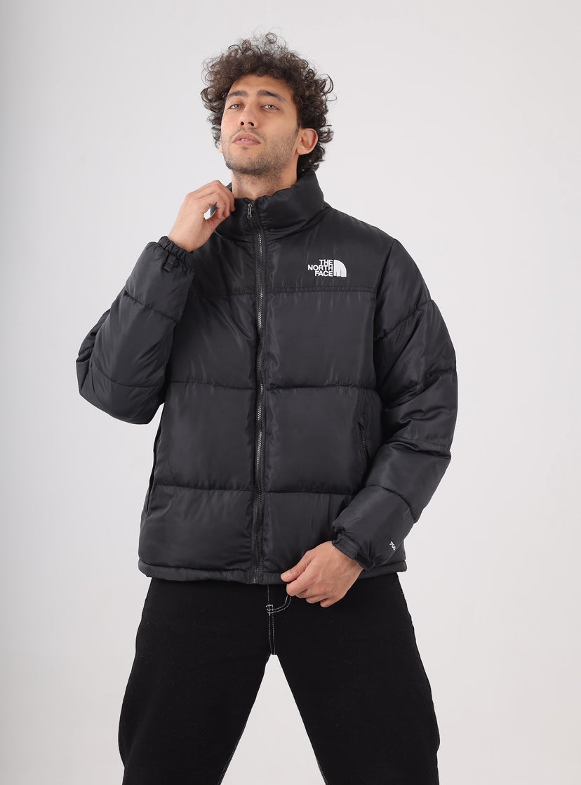 The north face jacket