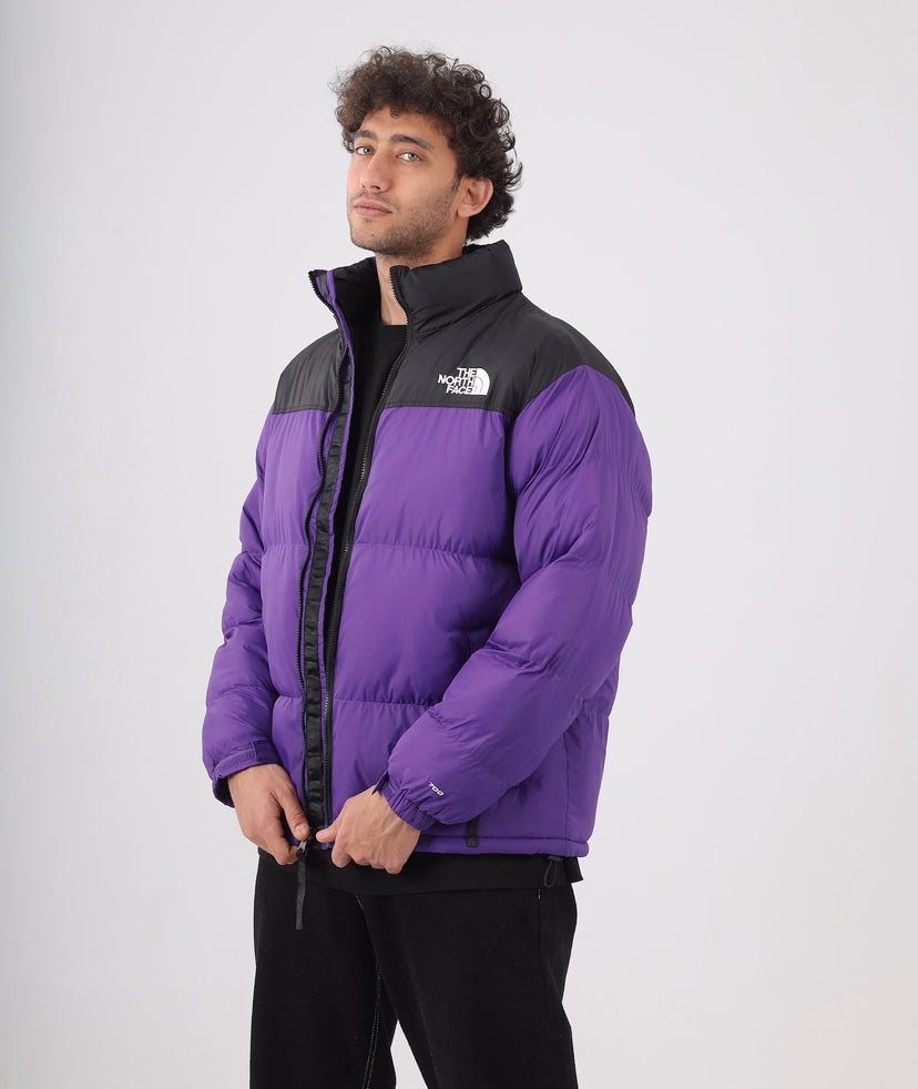 The north face jacket