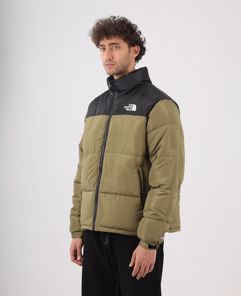 The north face jacket