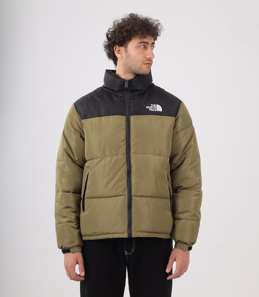 The north face jacket