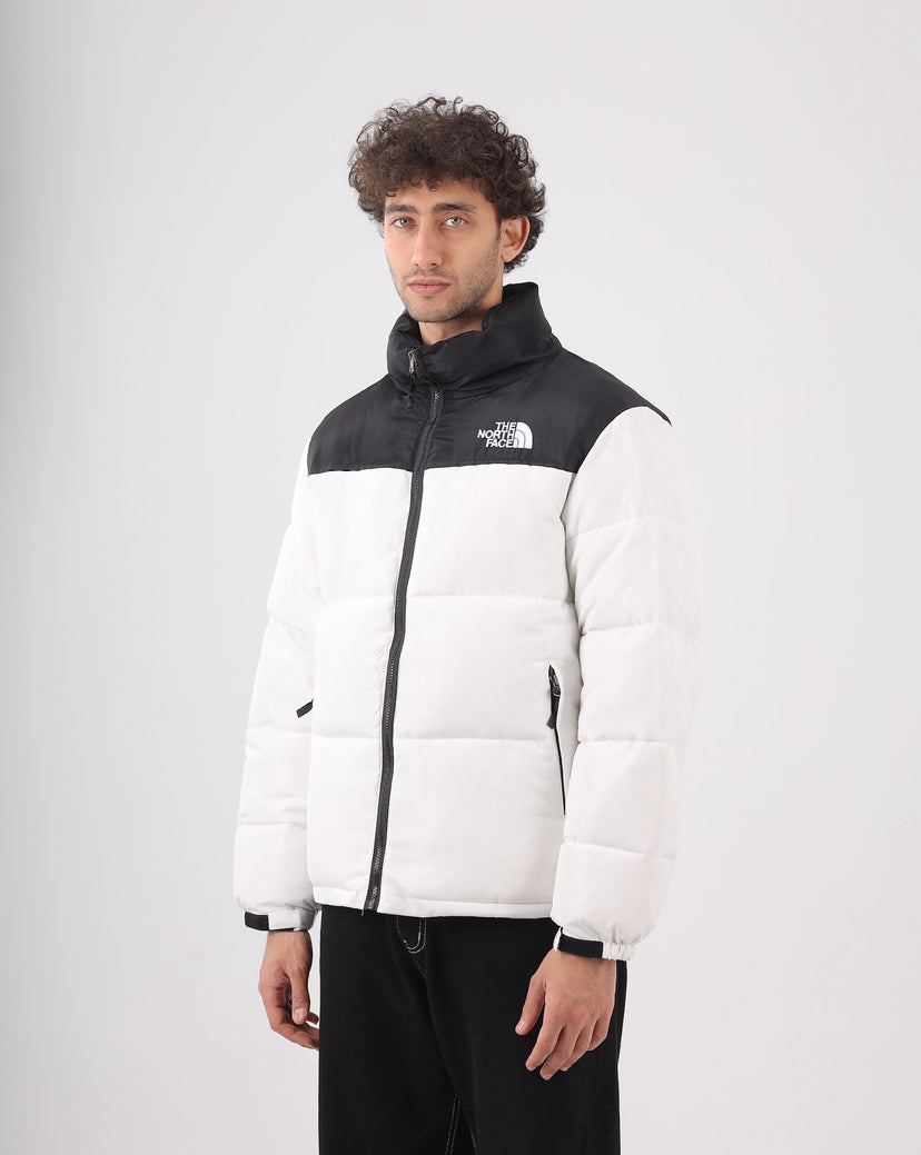The north face jacket