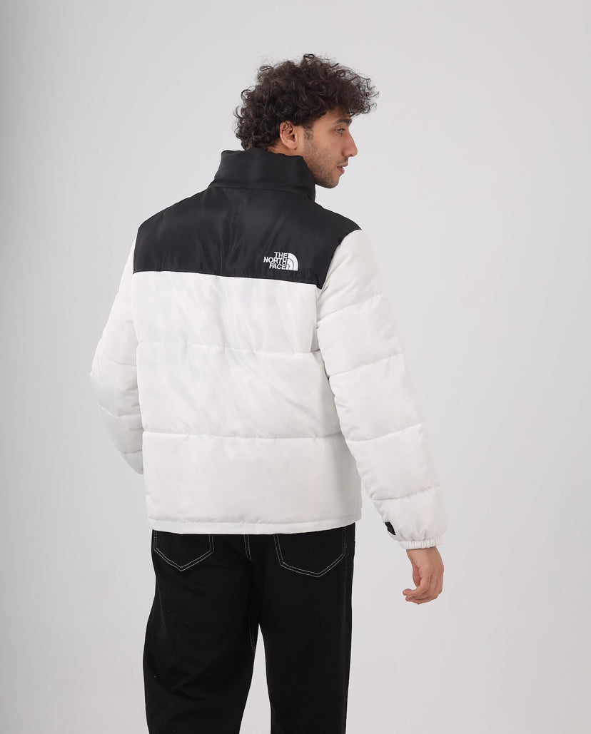The north face jacket