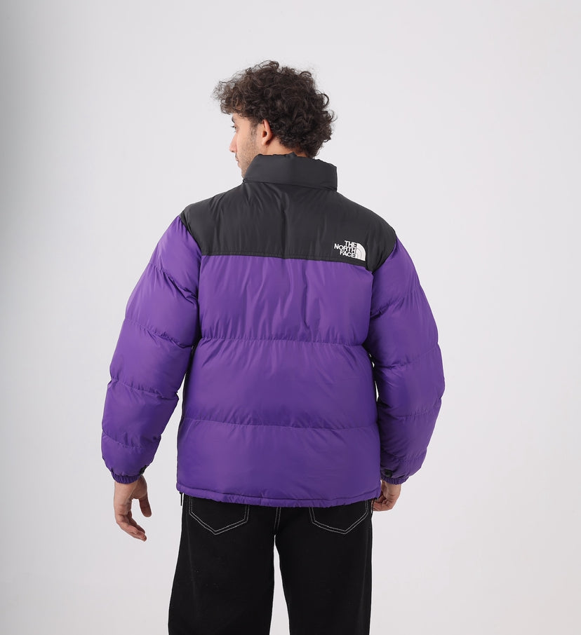 The north face jacket