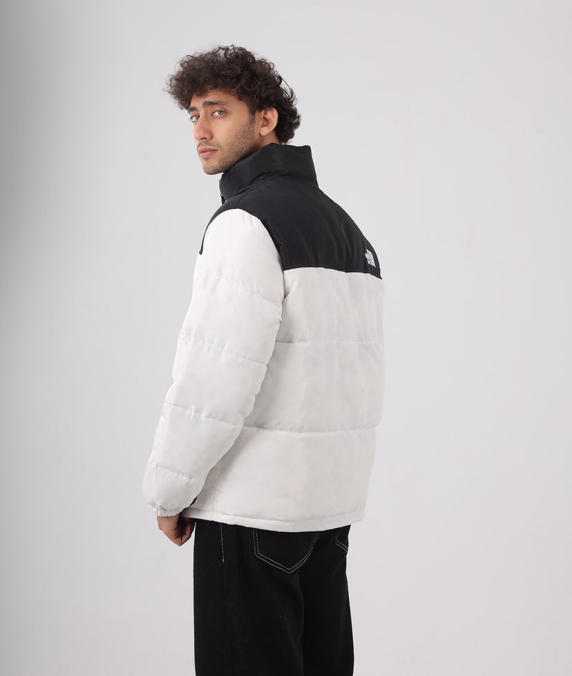The north face jacket