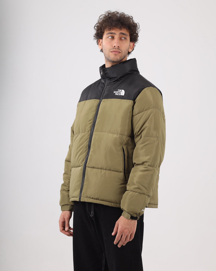 The north face jacket