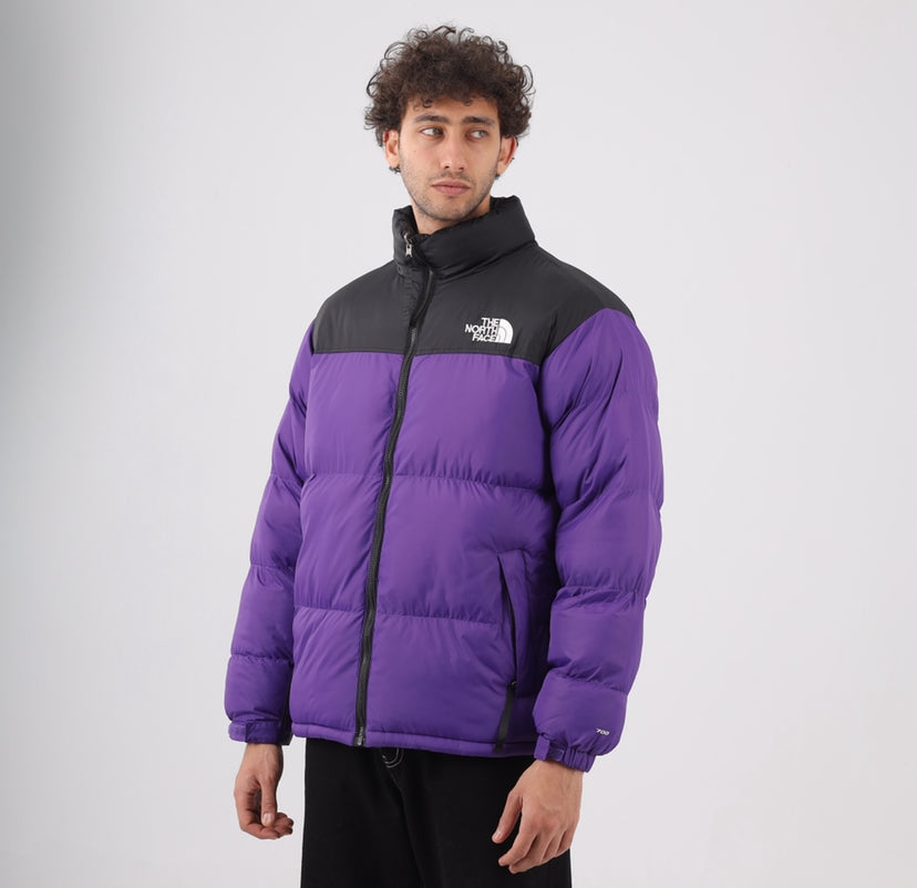 The north face jacket