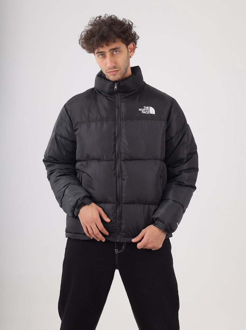 The north face jacket