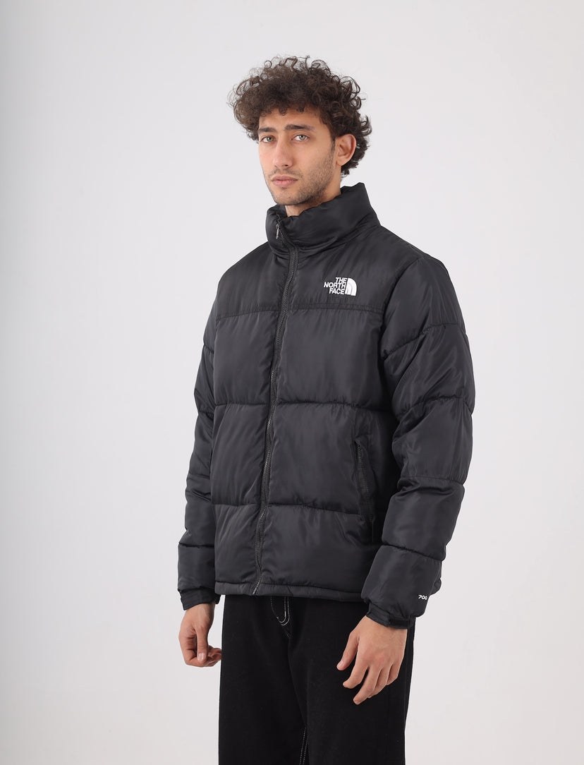 The north face jacket
