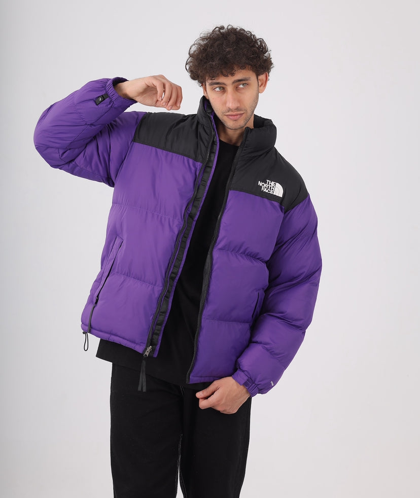 The north face jacket