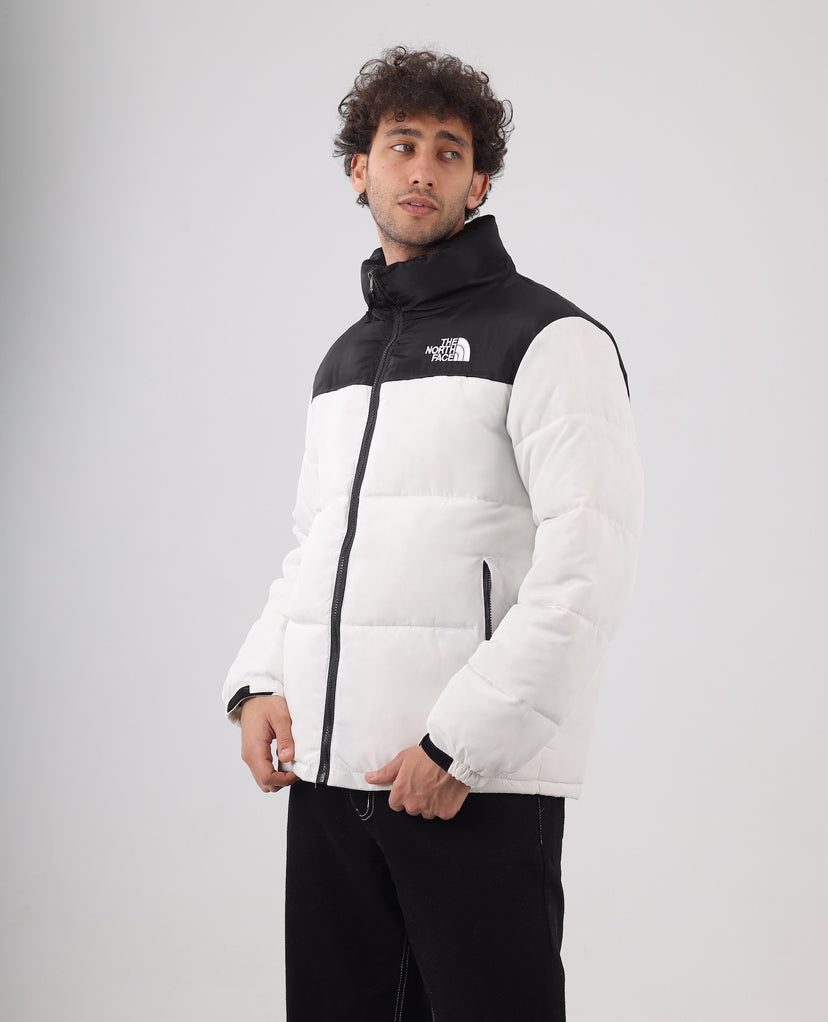 The north face jacket