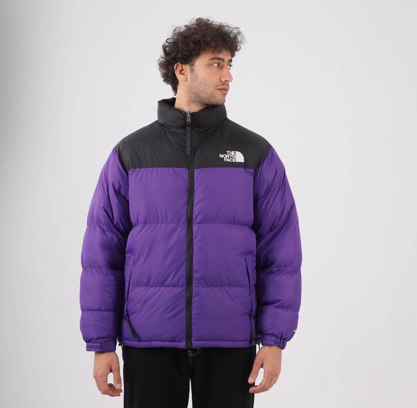 The north face jacket