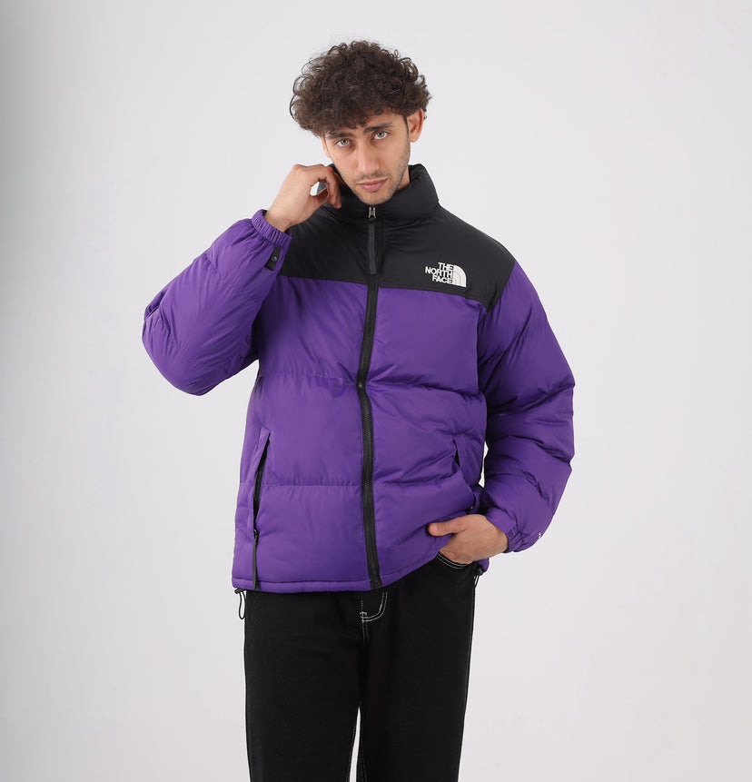 The north face jacket