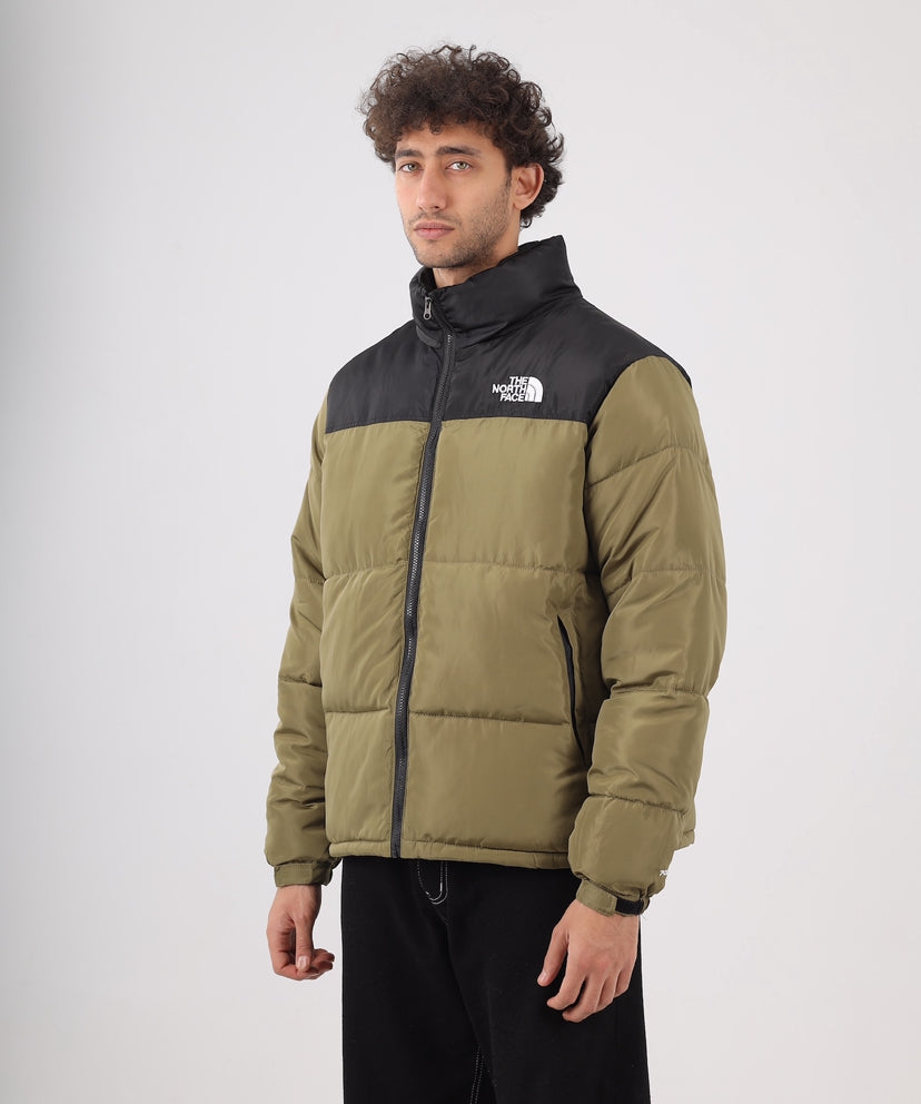 The north face jacket