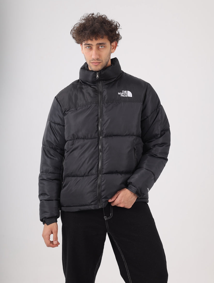 The north face jacket