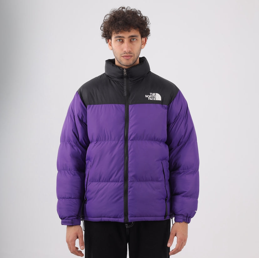 The north face jacket