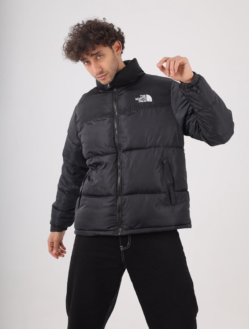 The north face jacket