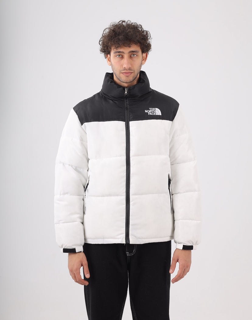 The north face jacket