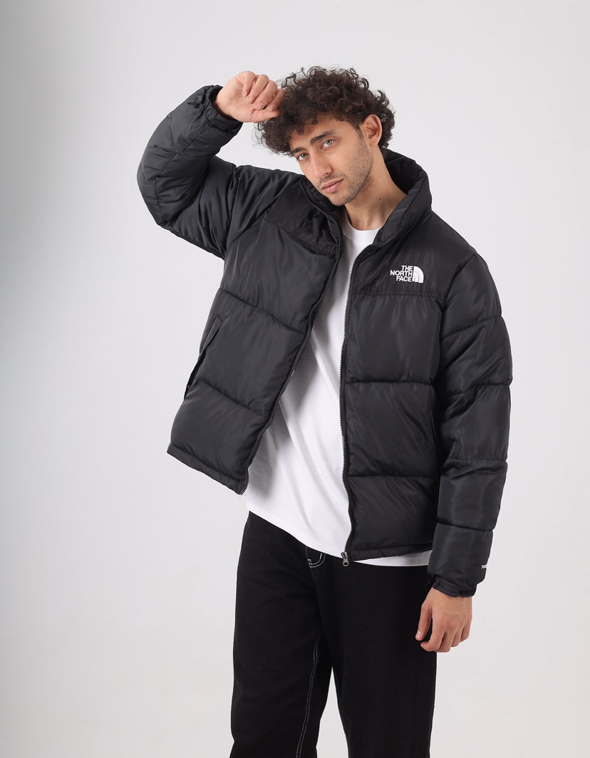 The north face jacket