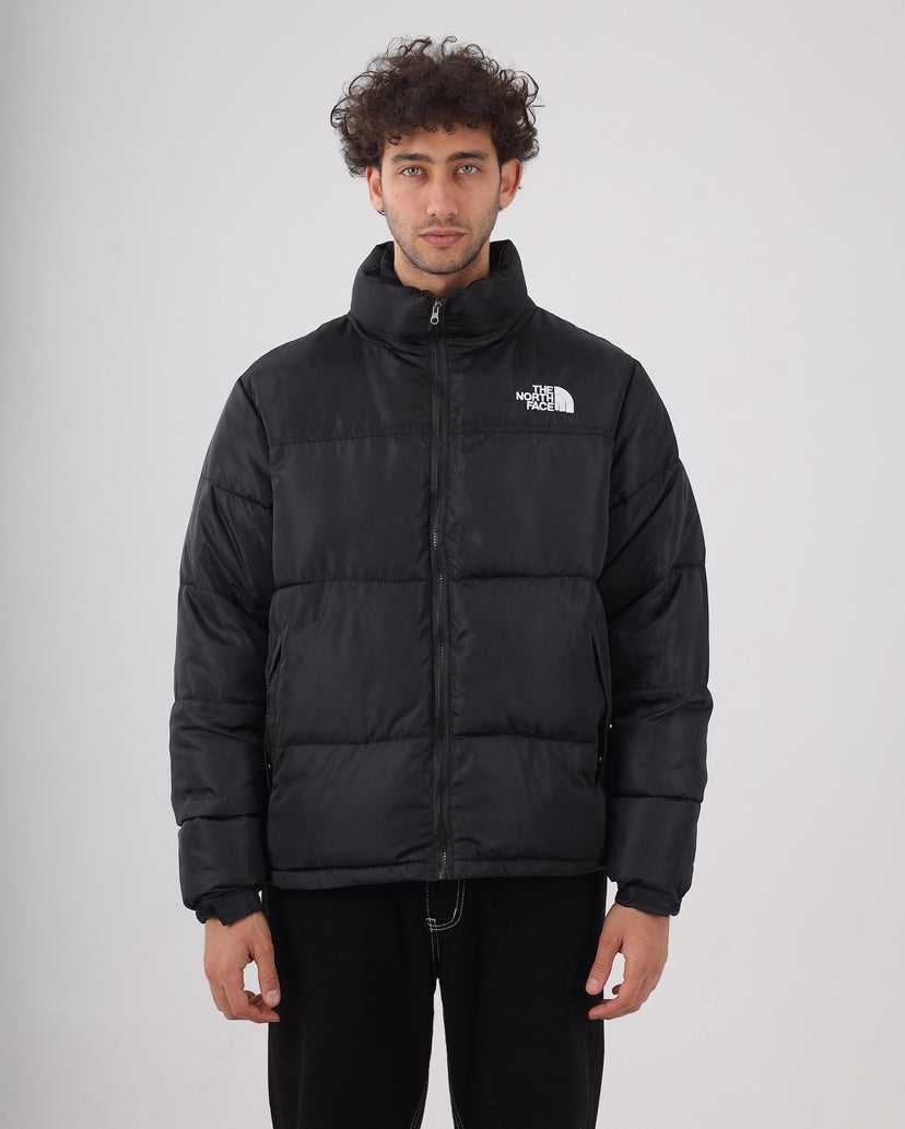 The north face jacket