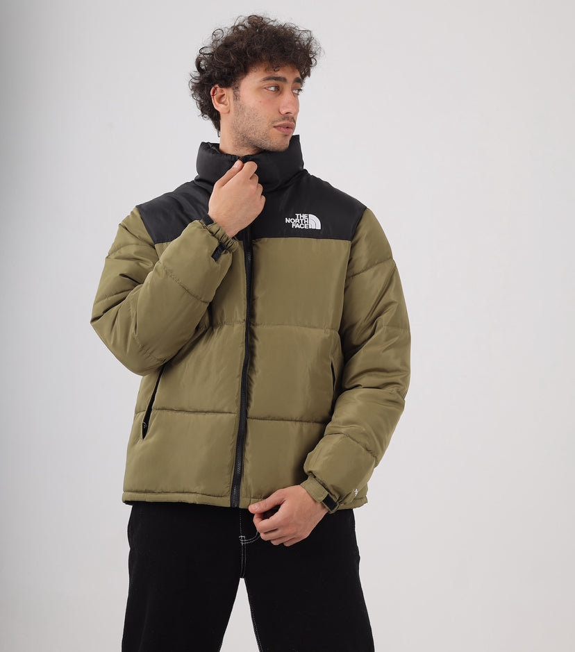 The north face jacket