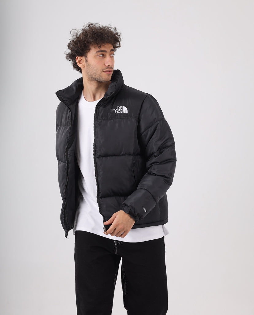 The north face jacket