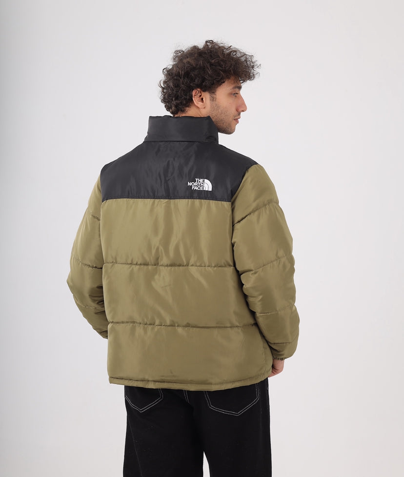 The north face jacket