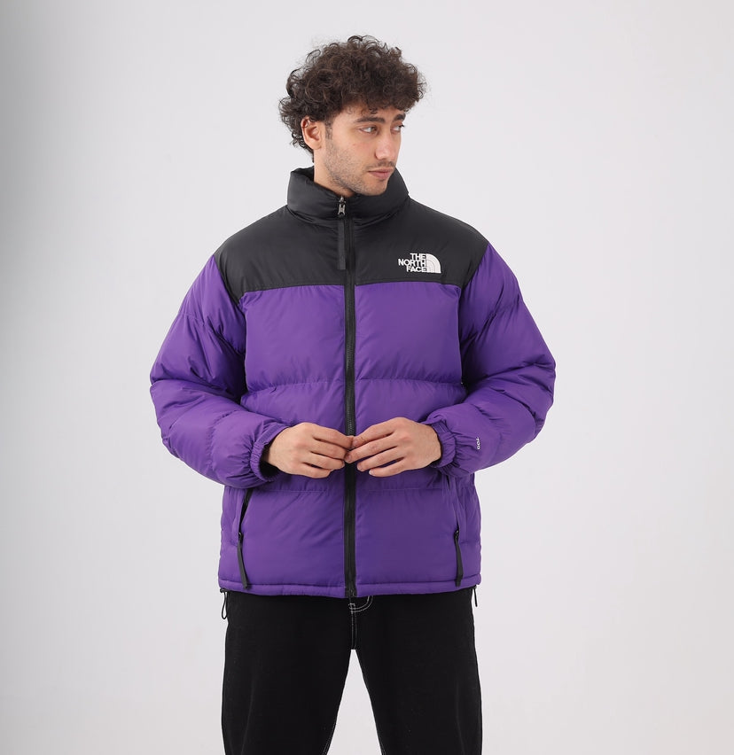 The north face jacket