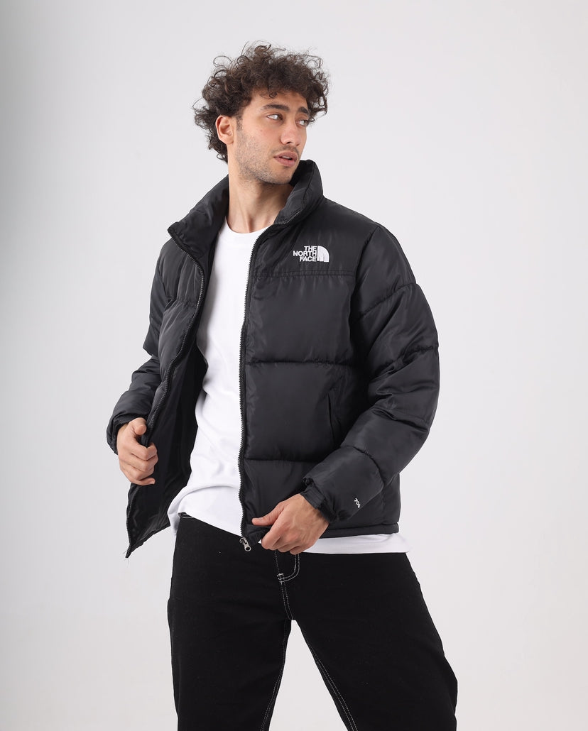 The north face jacket
