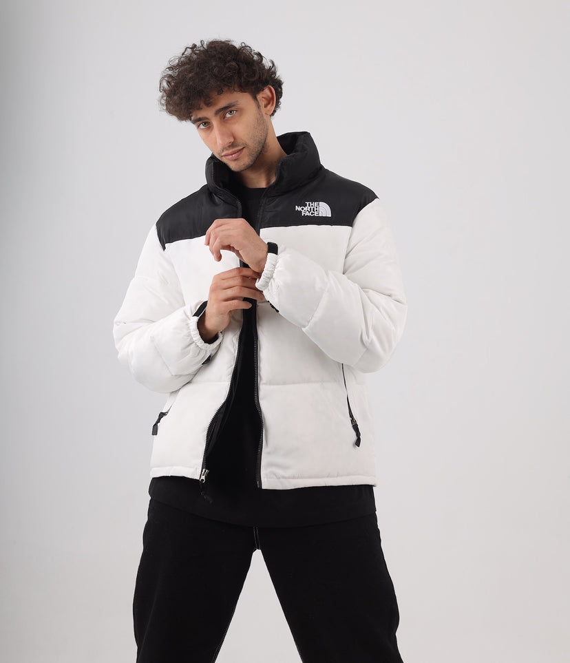 The north face jacket