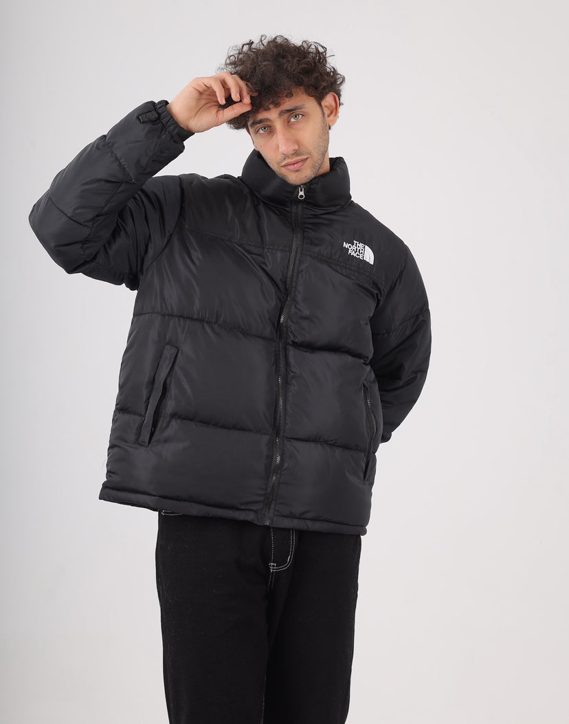 The north face jacket