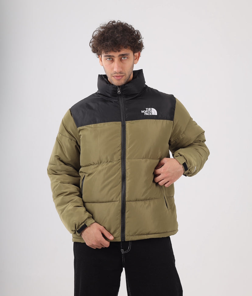 The north face jacket