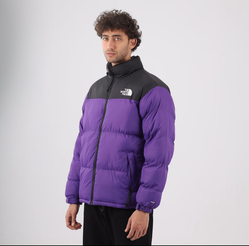 The north face jacket
