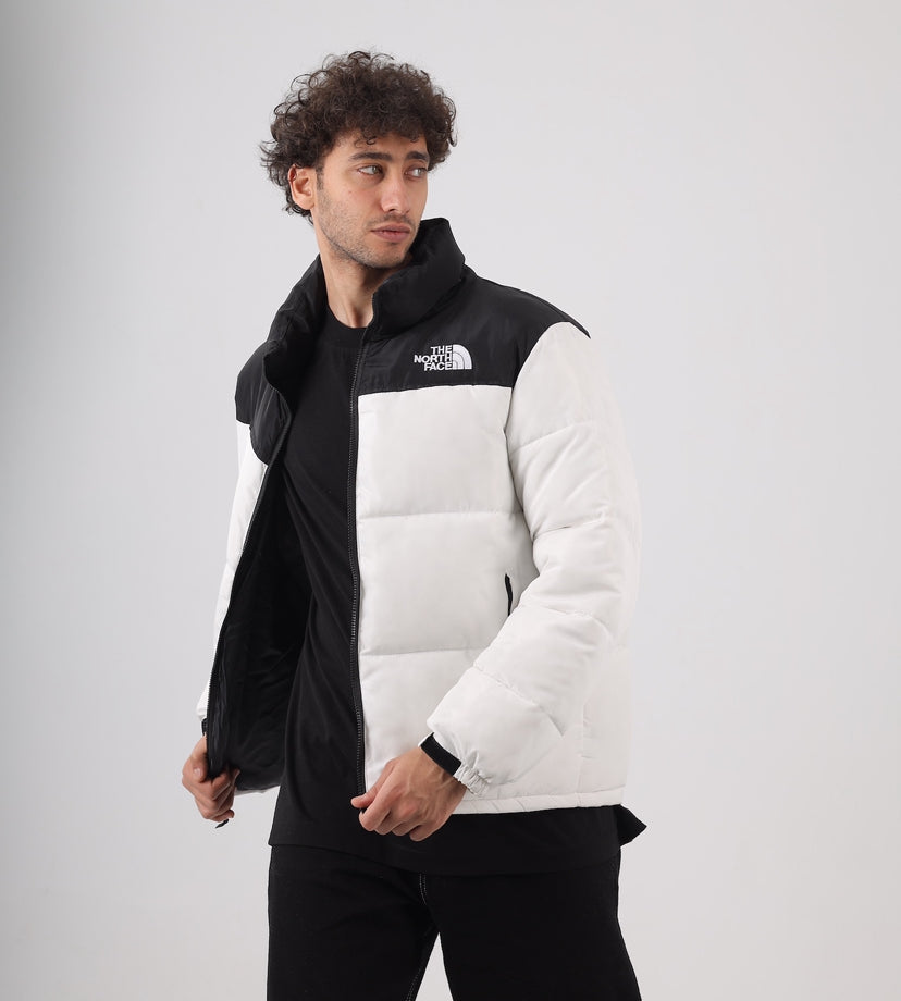 The north face jacket